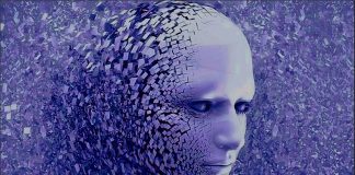 Inteligencia colectiva