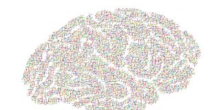 El futuro de la industria del seguro en manos de la implementación de Inteligencia Artificial