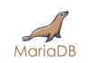 Una base de datos para agentes autónomos: MariaDB lanza Enterprise Platform 2026