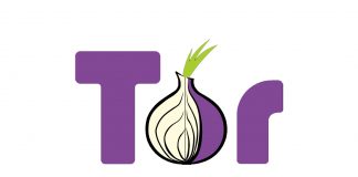 Cómo cuidar la privacidad al momento de navegar en la Web (TOR)