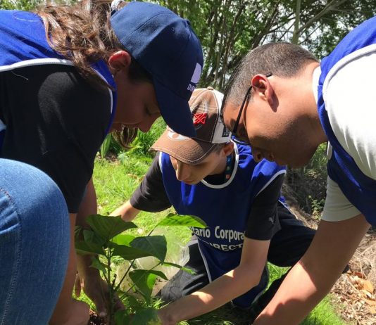 DIRECTV celebró la semana del voluntariado en el marco de sus 23 años en Venezuela