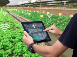 El futuro del sector agropecuario: las nuevas tecnologías en el campo