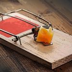 mousetrap