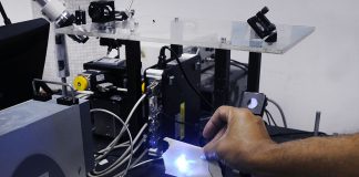 Científico venezolano crea nanofertilizantes para plantas de cacao y de maíz