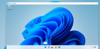 ¿Piensa actualizar a Windows 11?