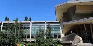 Microsoft trabaja en chips de IA caseros