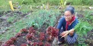 “En el campo agroalimentario es necesario aplicar la innovación”. Liccia Romero, ecóloga