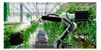 ¿Qué necesitan las ciudades para ser inteligentes?