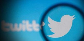 El «viejo Twitter» podría resurgir: Una startup busca recuperar la marca abandonada por Elon Musk
