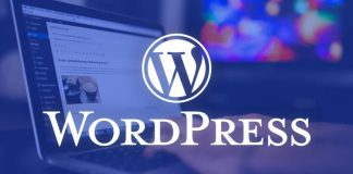 Control y Seguridad: El nuevo horizonte para el ecosistema WordPress