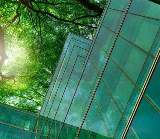 Xerox mexicana cumple 9 años consecutivos de ser una Organización Responsablemente Saludable