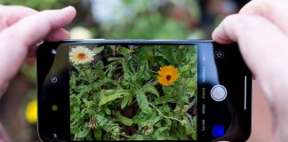 Hoy el 92,5 % de las fotos se capturan con teléfonos inteligentes, según Photutorial