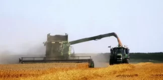 Informática en la agricultura y el enorme potencial que aporta la aplicación de la Inteligencia Artificial