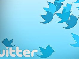 Elon Musk cierra el acceso de terceros a las API Twitter para Windows