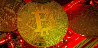 Cinco predicciones que moverán el mercado en 2026 inspiradas en la revolución de Bitcoin Beach