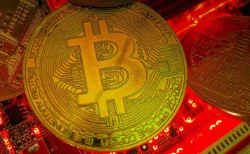 Cinco predicciones que moverán el mercado en 2026 inspiradas en la revolución de Bitcoin Beach