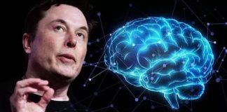 Según informe la FDA desaprobó en 2022 las pruebas en humanos del chip Neuralink de Musk
