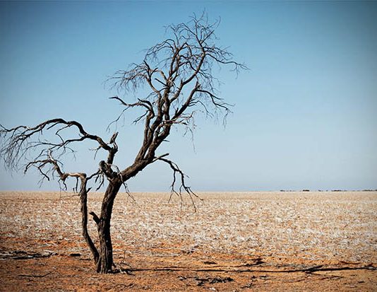 IBM y la NASA colaboran para investigar el impacto del cambio climático con IA