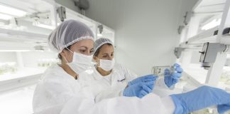 La importancia de fomentar el talento femenino en las empresas y la ciencia