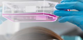 GC Biopharma estrena portal diseñado según el enfoque de innovación centrado en el ser humano de SAP