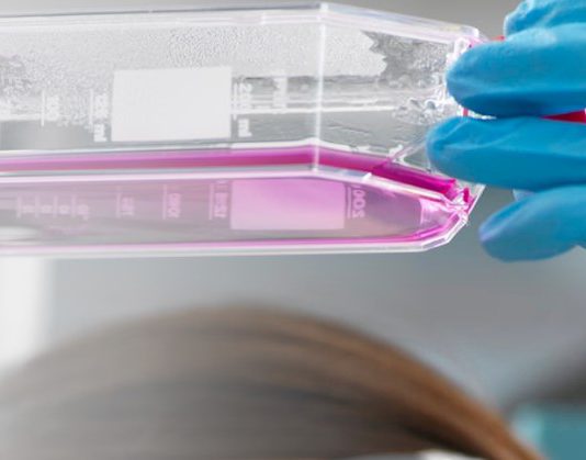 GC Biopharma estrena portal diseñado según el enfoque de innovación centrado en el ser humano de SAP