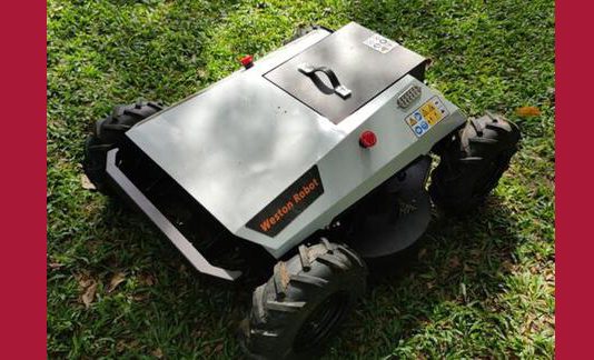 5G: robots para limpiar ríos y patrullar carreteras en Singapur