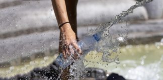 ChatGPT consume agua, procede de ríos cercanos a campos de trigo