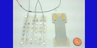 Un chip implantado en el cerebro lee los pensamientos