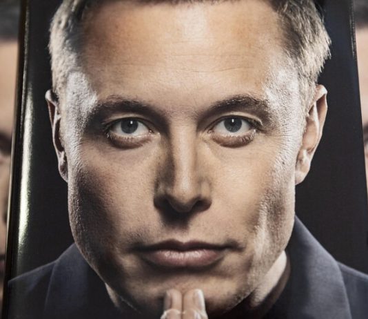 Reordenamiento en el ecosistema Musk: escenarios de integración en estudio