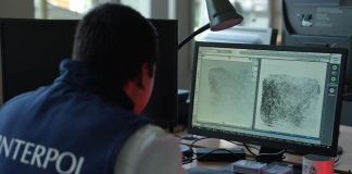 Golpe certero de Interpol a la ciberdelincuencia: 22.000 servidores caídos
