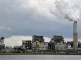 Gigantes tecnológicos devoran electricidad: Microsoft y Google consumen tanta como un país entero