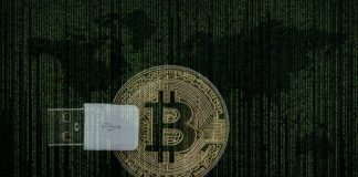 Aumenta en 135% el interés por robar criptomonedas en la dark web
