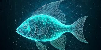 ESET Research revela la Operación FishMedley – operación de espionaje global de FishMonger de China e I-SOON