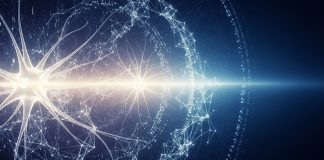 IA en la Nube: Crecimiento masivo del 40.5%