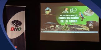 BNC participa en foro ambiental para promover alianzas y conciencia ecológica