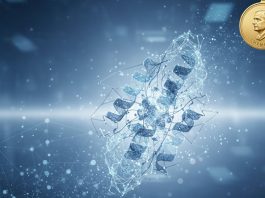 AlphaFold: cinco años que transformaron la biología