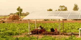 ISA anunció a los ganadores del Desafío SolarX para startups edición Latinoamérica