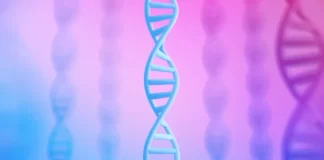 Inteligencia artificial para entender el ADN: el aporte de AlphaGenome