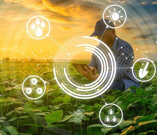 SAP y Syngenta anuncian alianza para escalar la agricultura asistida por IA