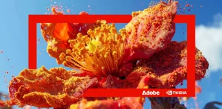 Adobe y NVIDIA: una arquitectura compartida para el futuro del diseño