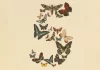 Anthropic anuncia el lanzamiento de Claude Fable 5 y Mythos 5