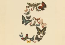 Anthropic anuncia el lanzamiento de Claude Fable 5 y Mythos 5