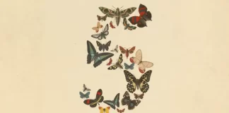 Anthropic anuncia el lanzamiento de Claude Fable 5 y Mythos 5