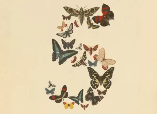 Anthropic anuncia el lanzamiento de Claude Fable 5 y Mythos 5