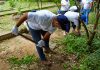 Mercantil conmemora el Día Mundial del Ambiente con acciones sostenibles de alto impacto