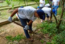 Mercantil conmemora el Día Mundial del Ambiente con acciones sostenibles de alto impacto