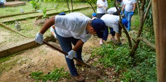 Mercantil conmemora el Día Mundial del Ambiente con acciones sostenibles de alto impacto