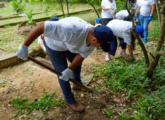 Mercantil conmemora el Día Mundial del Ambiente con acciones sostenibles de alto impacto