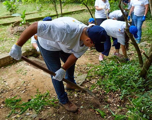 Mercantil conmemora el Día Mundial del Ambiente con acciones sostenibles de alto impacto