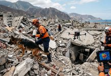 Drones, perros y cámaras térmicas: así se buscó a los sobrevivientes bajo los escombros